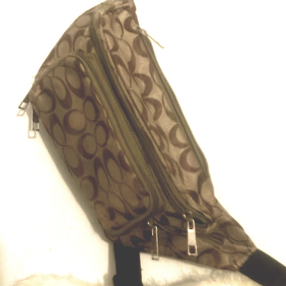 Boutique Fanny pack